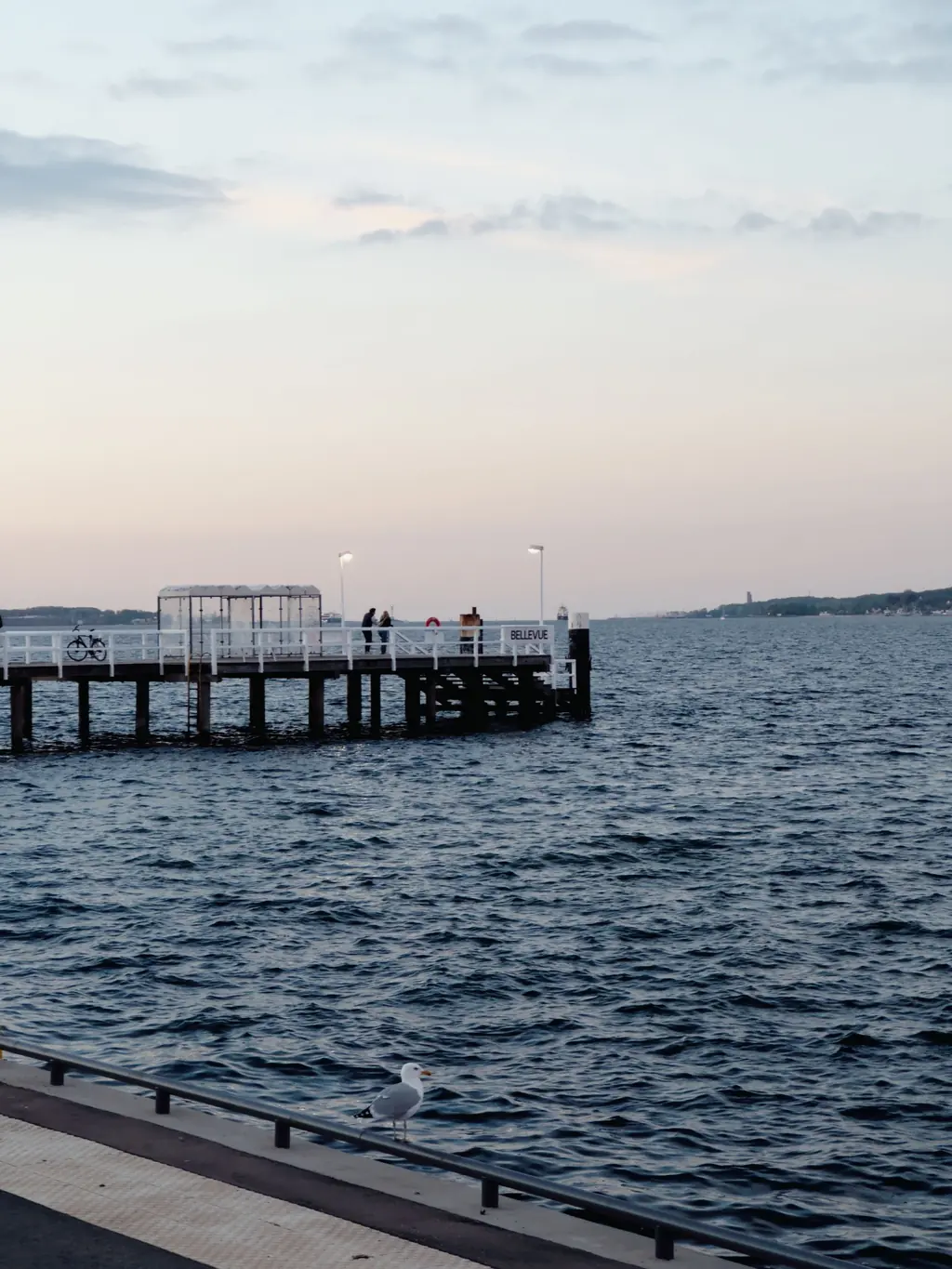Ein Steg an der Kieler Förde am Abend.